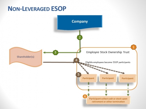 Non-leveraged ESOP Illustration